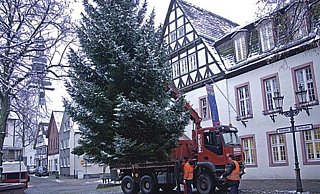 Wer hat einen Weihnachtsbaum für die Stadt Beverungen abzugeben, fragt Bauhofleiter Reinhard Baudis.. - Stadt Beverungen Wer hat einen Weihnachtsbaum für die Stadt Beverungen abzugeben, fragt Bauhofleiter Reinhard Baudis.. - Stadt Beverungen