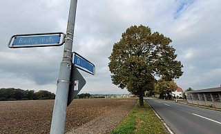 Die Dünner Straße in Bünde wird ab der Bindingstraße wegen Bauarbeiten für mehrere Wochen gesperrt. Foto: Gerald Dunkel - Gerald Dunkel Die Dünner Straße in Bünde wird ab der Bindingstraße wegen Bauarbeiten für mehrere Wochen gesperrt. Foto: Gerald Dunkel - Gerald Dunkel