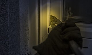 Einbruch in der Nacht. Foto: Pixabay - Pixabay Einbruch in der Nacht. Foto: Pixabay - Pixabay