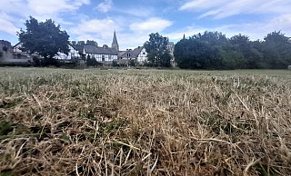 Durch die große Trockenheit seit Mai ist das Gras vielerorts – wie hier in der Warburger Altstadt – schon trocken, braun und verdorrt. - Simone Flörke Durch die große Trockenheit seit Mai ist das Gras vielerorts – wie hier in der Warburger Altstadt – schon trocken, braun und verdorrt. - Simone Flörke