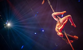 Alexandra Rizaeva überzeugt mit ihrer Choreographie an der fliegenden Pole-Stange. - Mike-Dennis Müller / www.mdm.photo Alexandra Rizaeva überzeugt mit ihrer Choreographie an der fliegenden Pole-Stange. - Mike-Dennis Müller / www.mdm.photo