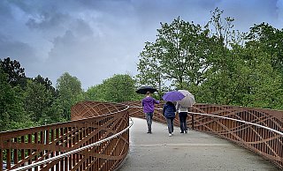 Wegen Arbeiten am Asphalt muss die neue Brücke über die B61 in Gütersloh nochmals gesperrt werden. - Andreas Frücht Wegen Arbeiten am Asphalt muss die neue Brücke über die B61 in Gütersloh nochmals gesperrt werden. - Andreas Frücht