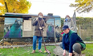 Die Bielefelder Tauben-Aktivisten versuchen, die Giftkörner so gut es geht einzusammeln. - Charlotte Mahncke Die Bielefelder Tauben-Aktivisten versuchen, die Giftkörner so gut es geht einzusammeln. - Charlotte Mahncke
