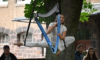Akrobatik in Bäumen, sogar mit Harfe – bei Aufführungen des Ensembles „Öff Öff“ am Wochenende in den Platanen und Kastanien. - Thomas Kube Akrobatik in Bäumen, sogar mit Harfe – bei Aufführungen des Ensembles „Öff Öff“ am Wochenende in den Platanen und Kastanien. - Thomas Kube