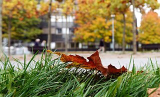 In Deutschland hat es im Oktober dem Deutschen Wetterdienst zufolge besonders viel geregnet. - Linda Henrich/dpa In Deutschland hat es im Oktober dem Deutschen Wetterdienst zufolge besonders viel geregnet. - Linda Henrich/dpa