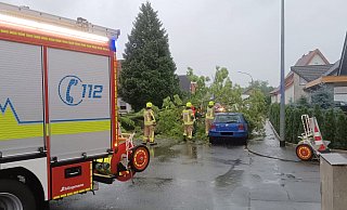 In einigen Orten im Kreis Paderborn sorgte das Sturmtief für umgestürzte Bäume, so wie an der Kirchbrede in Delbrück. Hier war die Feuerwehr am frühen Freitagmorgen im Einsatz. - Feuerwehr Delbrück In einigen Orten im Kreis Paderborn sorgte das Sturmtief für umgestürzte Bäume, so wie an der Kirchbrede in Delbrück. Hier war die Feuerwehr am frühen Freitagmorgen im Einsatz. - Feuerwehr Delbrück