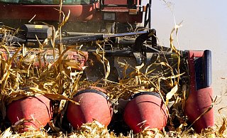 Ein 34-Jähriger hatte sich an ausrangierten Mähdrescher zu schaffen gemacht. - Symbolbild Pixabay Ein 34-Jähriger hatte sich an ausrangierten Mähdrescher zu schaffen gemacht. - Symbolbild Pixabay