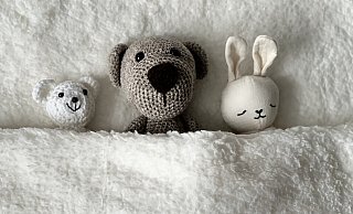 Zwei Mädchen und zwei Jungen sind im St.-Ansgar-Krankenhaus in Höxter geboren worden. - Symbolbild: Pixabay Zwei Mädchen und zwei Jungen sind im St.-Ansgar-Krankenhaus in Höxter geboren worden. - Symbolbild: Pixabay