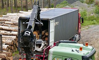Seit 2018 sind über 100.000 Festmeter Stammholz aus dem Lichtenauer Stadtwald entnommen worden. - Stefan Befeld / Wald & Holz NRW Seit 2018 sind über 100.000 Festmeter Stammholz aus dem Lichtenauer Stadtwald entnommen worden. - Stefan Befeld / Wald & Holz NRW