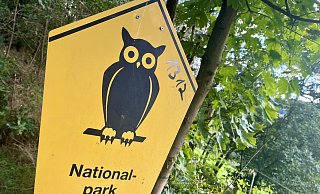 Es wird spannend im Kreis Paderborn: Nach dem Nein des Kreistages in Höxter zum Nationalpark positionieren sich nun die Parteien im Paderborner Land. Noch ist nicht klar, ob auch hier schon bald eine Abstimmung im Kreistag folgt. - Jens Reddeker Es wird spannend im Kreis Paderborn: Nach dem Nein des Kreistages in Höxter zum Nationalpark positionieren sich nun die Parteien im Paderborner Land. Noch ist nicht klar, ob auch hier schon bald eine Abstimmung im Kreistag folgt. - Jens Reddeker