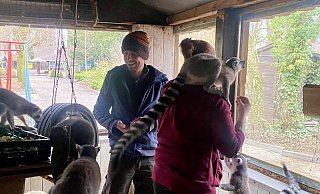 Tierparkbesitzer Christoph Nadermann (l.) füttert gemeinsam mit der Tierpflegerin Jana Stratmann die Neuzugänge des Tierparks: Sieben kleine Kattas. - Jule Barmwater Tierparkbesitzer Christoph Nadermann (l.) füttert gemeinsam mit der Tierpflegerin Jana Stratmann die Neuzugänge des Tierparks: Sieben kleine Kattas. - Jule Barmwater