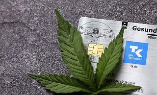 Noch in dieser Legislaturperiode soll Cannabis in Deutschland legalisiert werden. Seit nunmehr fünf Jahren darf es legal auf Rezept verschrieben werden. Doch viele Krankenkassen halten sich mit den Erstattungen zurück. - picture alliance / Panama Pictures Noch in dieser Legislaturperiode soll Cannabis in Deutschland legalisiert werden. Seit nunmehr fünf Jahren darf es legal auf Rezept verschrieben werden. Doch viele Krankenkassen halten sich mit den Erstattungen zurück. - picture alliance / Panama Pictures