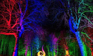Licht- und Schattenspiele: Vom 5. bis zum 15. Oktober leuchtet abends das Gartenschaugelände im Remtergarten und am Weserbogen. - Lightart-Events Detmold Licht- und Schattenspiele: Vom 5. bis zum 15. Oktober leuchtet abends das Gartenschaugelände im Remtergarten und am Weserbogen. - Lightart-Events Detmold