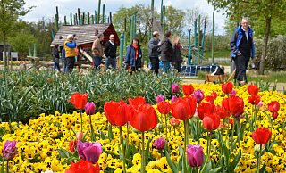 Die Entscheidung über eine mögliche Bewerbung für die Landesgartenschau 2029 soll im Herbst fallen. - Birgit Vredenburg Die Entscheidung über eine mögliche Bewerbung für die Landesgartenschau 2029 soll im Herbst fallen. - Birgit Vredenburg