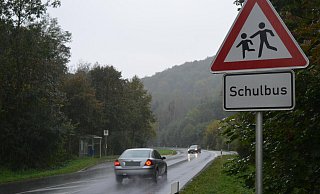 Das Hinweiß-Schild allein reicht nicht, die Roggenthaler fordern eine Geschwindigkeitsreduzierung auf 70 km/h, um sicher die Bundesstraße 241 überqueren zu können. - Nicole Fischer Das Hinweiß-Schild allein reicht nicht, die Roggenthaler fordern eine Geschwindigkeitsreduzierung auf 70 km/h, um sicher die Bundesstraße 241 überqueren zu können. - Nicole Fischer