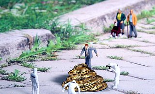Hundehaufen auf der Straße sind ein großes Ärgernis in Paderborn. - Symbolbild: Pixabay Hundehaufen auf der Straße sind ein großes Ärgernis in Paderborn. - Symbolbild: Pixabay