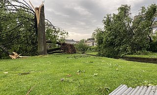 Mehr als 1.000 Bäume sind durch den Tornado umgestürzt, wie dieses kurze Zeit später entstandene Foto zeigt. - Marc Schröder Mehr als 1.000 Bäume sind durch den Tornado umgestürzt, wie dieses kurze Zeit später entstandene Foto zeigt. - Marc Schröder