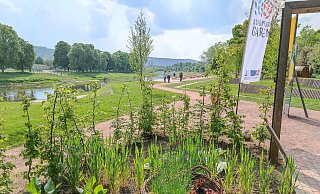Ideal für einen Abendspaziergang zur Weserscholle: Ab fünf Uhr kostet der Eintritt zur Landesgartenschau Höxter nur fünf Euro. Einmal im Monat gibt es hier beim „Vorblühen“ sogar Live-Musik, erstmals am 8. Juni. - LGS Ideal für einen Abendspaziergang zur Weserscholle: Ab fünf Uhr kostet der Eintritt zur Landesgartenschau Höxter nur fünf Euro. Einmal im Monat gibt es hier beim „Vorblühen“ sogar Live-Musik, erstmals am 8. Juni. - LGS