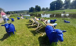 Rund um Höxter - hier die blauen Schafe an der Weser bei der Landesgartenschau - und den neun weiteren Kommunen im Kreis bieten sich viele besondere Orte, die man in den Ferien entdecken, erkunden und genießen kann. - Simone Flörke Rund um Höxter - hier die blauen Schafe an der Weser bei der Landesgartenschau - und den neun weiteren Kommunen im Kreis bieten sich viele besondere Orte, die man in den Ferien entdecken, erkunden und genießen kann. - Simone Flörke
