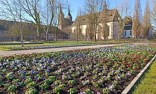 Besucherinnen und Besucher der Landesgartenschau in Höxter erwartet eine Blütenpracht. - LGS Höxter 2023 Besucherinnen und Besucher der Landesgartenschau in Höxter erwartet eine Blütenpracht. - LGS Höxter 2023