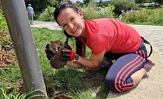 Nicole Baltrusch mit dem geretteten Igel. - Thomas Kube Nicole Baltrusch mit dem geretteten Igel. - Thomas Kube