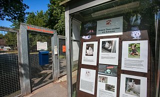 Die Tore des Bielefelder Tierheims bleiben bis einschließlich 7. August geschlossen. - Andreas Zobe Die Tore des Bielefelder Tierheims bleiben bis einschließlich 7. August geschlossen. - Andreas Zobe