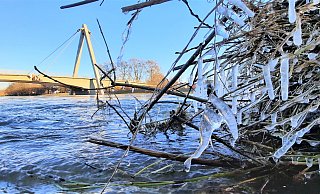 Eiszeit: Noch immer ist der Pegel in Höxter sehr hoch. An angeschwemmtem Treibgut bilden sich kleine Eiszapfen. - David Schellenberg Eiszeit: Noch immer ist der Pegel in Höxter sehr hoch. An angeschwemmtem Treibgut bilden sich kleine Eiszapfen. - David Schellenberg