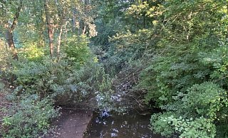 Der Abrocksbach leidet in jüngerer Zeit eher unter Wasserknappheit. Doch das Überschwemmungsrisiko im Moddenbachtal bleibt. - Burkhard Hoeltzenbein Der Abrocksbach leidet in jüngerer Zeit eher unter Wasserknappheit. Doch das Überschwemmungsrisiko im Moddenbachtal bleibt. - Burkhard Hoeltzenbein