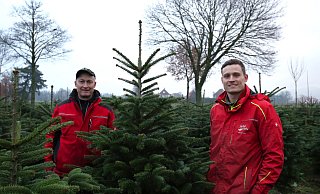 Bernd (l.) und Florian Siebe bewirtschaften 80 ha Weihnachtsbaumkulturen und legen dabei Wert auf einen möglichst nachhaltigen Anbau. - Ilka Gülker Bernd (l.) und Florian Siebe bewirtschaften 80 ha Weihnachtsbaumkulturen und legen dabei Wert auf einen möglichst nachhaltigen Anbau. - Ilka Gülker