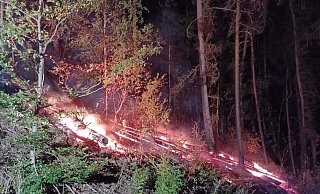 Brennender Wald bei Obermarsberg - Freiwillige Feuerwehr Marsberg Brennender Wald bei Obermarsberg - Freiwillige Feuerwehr Marsberg