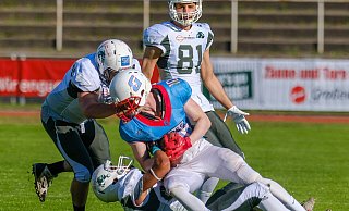 Die Defense der Bulldogs in Aktion: Zu zweit wird ein Spieler der Bonn Gamecocks gestoppt. - Andreas Zobe Die Defense der Bulldogs in Aktion: Zu zweit wird ein Spieler der Bonn Gamecocks gestoppt. - Andreas Zobe