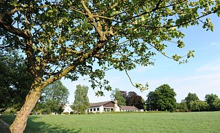 Beliebtes Ziel: Die Haldemer Wilhelmshöhe war über Jahrzehnte Ziel vieler Bürger auch aus dem Lübbecker Land. Der Berggasthof schließt nun. - Archiv Joern Spreen-Ledebur Beliebtes Ziel: Die Haldemer Wilhelmshöhe war über Jahrzehnte Ziel vieler Bürger auch aus dem Lübbecker Land. Der Berggasthof schließt nun. - Archiv Joern Spreen-Ledebur