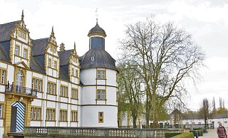 In Paderborn stehen viele alte Bäume, doch welcher ist der älteste? - Jessica Eberle In Paderborn stehen viele alte Bäume, doch welcher ist der älteste? - Jessica Eberle