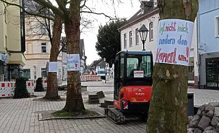 Protestaktion gegen die Fällung von Bäumen in der Stummrige Straße in Höxter. - Michaela Bast Protestaktion gegen die Fällung von Bäumen in der Stummrige Straße in Höxter. - Michaela Bast