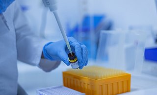 Die Corona-Testlabore, die im Auftrag des Kreises Proben untersuchen, geraten ans Limit. - Pixabay Die Corona-Testlabore, die im Auftrag des Kreises Proben untersuchen, geraten ans Limit. - Pixabay