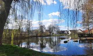 Der Ententeich am Nieheimer Kurpark lädt zum Verweilen ein. Hier kann man die Seele baumeln lassen. - David Schellenberg Der Ententeich am Nieheimer Kurpark lädt zum Verweilen ein. Hier kann man die Seele baumeln lassen. - David Schellenberg