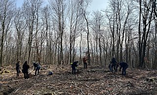 Dem Wald geht es schlecht, weshalb das Unternehmen Feldwerk mit Baumpaten ein Stück wiederaufforstet. - Marco Schlomann Dem Wald geht es schlecht, weshalb das Unternehmen Feldwerk mit Baumpaten ein Stück wiederaufforstet. - Marco Schlomann