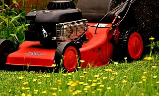 Mehrere hundert Rasenmäher sind gestohlen worden. - (Symbolbild): Pixabay Mehrere hundert Rasenmäher sind gestohlen worden. - (Symbolbild): Pixabay