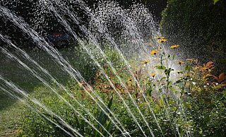An manchen Stellen wird es auf der Landesgartenschau 2023 nicht ohne Bewässerung funktionieren. - (Symbolbild) Pixabay An manchen Stellen wird es auf der Landesgartenschau 2023 nicht ohne Bewässerung funktionieren. - (Symbolbild) Pixabay