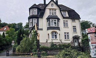 Ein großer Baum ist nach dem Sturm an der Beethovenstraße umgeknickt. Der Bereich um den Stamm ist abgesperrt. - Nike Alberts Ein großer Baum ist nach dem Sturm an der Beethovenstraße umgeknickt. Der Bereich um den Stamm ist abgesperrt. - Nike Alberts