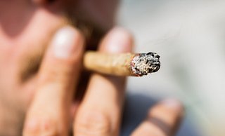 Das Bundeskabinett will Cannabis legalisieren. - Christoph Soeder Das Bundeskabinett will Cannabis legalisieren. - Christoph Soeder