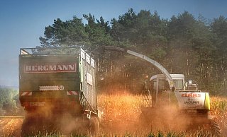 Die anhaltende Trockenheit bereitet den Landwirten im Kreis Gütersloh Sorgen. Hinzu kommen die hohen Energie- und Futterkosten. - Andreas Frücht Die anhaltende Trockenheit bereitet den Landwirten im Kreis Gütersloh Sorgen. Hinzu kommen die hohen Energie- und Futterkosten. - Andreas Frücht
