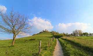 Der Desenberg ist das markante Wahrzeichen des Warburger Landes. - Simone Flörke Der Desenberg ist das markante Wahrzeichen des Warburger Landes. - Simone Flörke