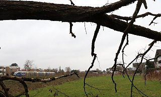 Auf dieser Fläche an der Brandisstraße sollen die drei Mehrfamilienhäuser gebaut werden. - Holger Kosbab Auf dieser Fläche an der Brandisstraße sollen die drei Mehrfamilienhäuser gebaut werden. - Holger Kosbab