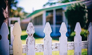 Solche Nachbarn wünscht man sich. - CC0 Pixabay Solche Nachbarn wünscht man sich. - CC0 Pixabay