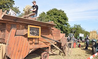 Das Ausdreschen der geernteten Weizenähren gehört zu den Höhepunkten des Festes. Dafür haben die Treckerfreunde Leopoldshöhe eine mit Transmission angetriebene, historische Dreschmaschine in Betrieb genommen. - Karin Prignitz Das Ausdreschen der geernteten Weizenähren gehört zu den Höhepunkten des Festes. Dafür haben die Treckerfreunde Leopoldshöhe eine mit Transmission angetriebene, historische Dreschmaschine in Betrieb genommen. - Karin Prignitz