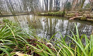 Den Ermittlern bot sich ein schreckliches Bild: Teilweise nackt und in Bauchlage trieb die Leiche von Marianne W. zwei Meter vom Ufer entfernt im Wasser. - Wolfgang Wotke Den Ermittlern bot sich ein schreckliches Bild: Teilweise nackt und in Bauchlage trieb die Leiche von Marianne W. zwei Meter vom Ufer entfernt im Wasser. - Wolfgang Wotke