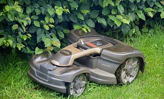 Mähroboter sind eine Gefahr für Igel. - Monika Skolimowska/dpa Mähroboter sind eine Gefahr für Igel. - Monika Skolimowska/dpa