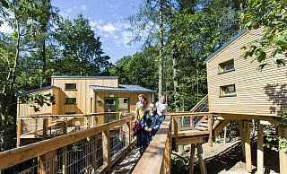 In der Jugendherberge mit Naturerlebnispark Panarbora kann im Baumhaus übernachtet werden. - Ludolf Dahmen / DJH-Rheinland In der Jugendherberge mit Naturerlebnispark Panarbora kann im Baumhaus übernachtet werden. - Ludolf Dahmen / DJH-Rheinland