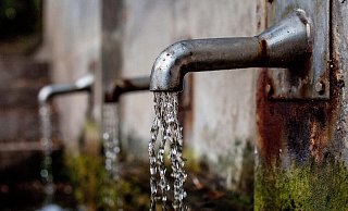 Gärten sollten jetzt nicht bewässert werden. - Pixabay (Symbolbild) Gärten sollten jetzt nicht bewässert werden. - Pixabay (Symbolbild)